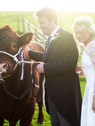 Thumbnail image for Farm wedding : Elli and Tom’s rural romp in the countryside