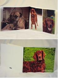 Thumbnail image for We’ve got our hands on some wedding photo book software : Pixum