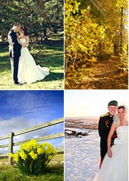 Looking for seasonal wedding inspiration? Browse through beautiful pictures and get tips, ideas and advice about planning summer, spring, autumn and winter weddings.